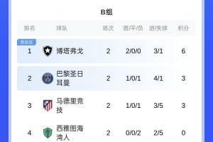 乐鱼体育-世俱杯B组：博塔弗戈领跑，巴黎跌至第二，末轮马竞陷绝境！