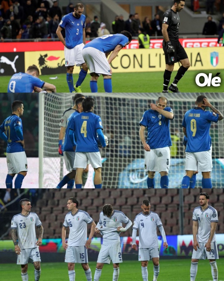 乐鱼体育-记者：意大利足球已然长眠十二年！一届又一届，换汤不换药